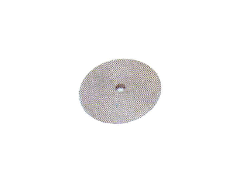 tapaliner
